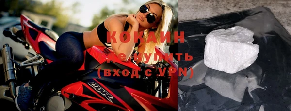 индика Верея