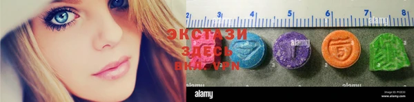 крисы Горняк