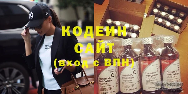 крисы Горняк