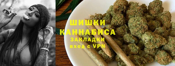 индика Верея