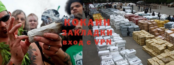 индика Верея