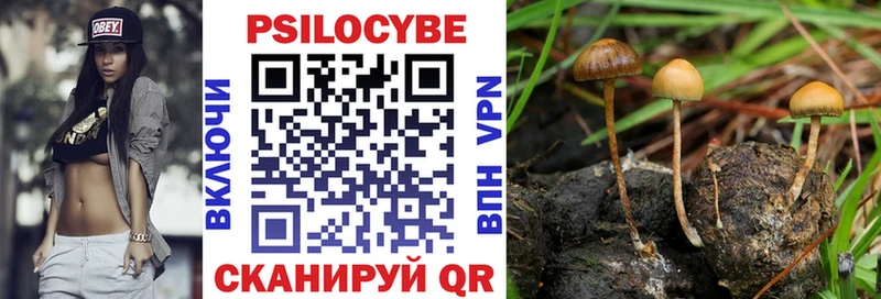 Купить закладки  Партизанск  Псилоцибиновые грибы Magic Shrooms 